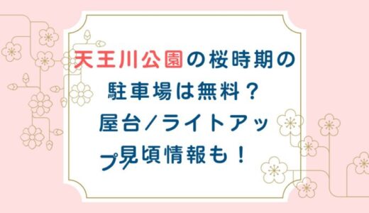 天王川公園の桜時期の駐車場は無料？屋台/ライトアップ/見頃情報も！