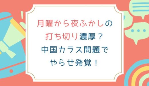 月曜から夜ふかしの打ち切り濃厚？中国カラス問題でやらせ発覚！