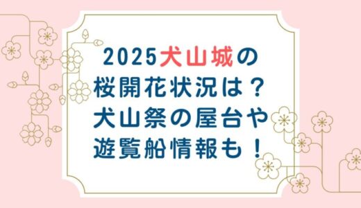 2025犬山城の桜開花状況は？犬山祭の屋台や遊覧船情報も！
