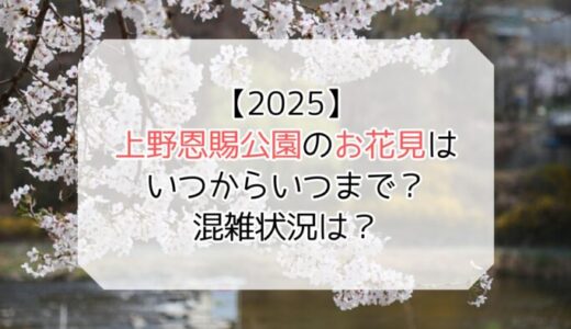 【2025】上野恩賜公園のお花見はいつからいつまで？混雑状況は？