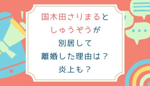 国木田さりまるとしゅうぞうが別居して離婚した理由は？炎上も？