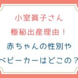 小室眞子さん極秘出産理由！赤ちゃんの性別やベビーカーはどこの？