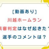 [動画あり]川越ホームラン誤審判定はなぜ起きた？選手のコメントは？