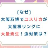 [なぜ]大阪万博でユスリカが大屋根リングに大量発生！虫対策は？