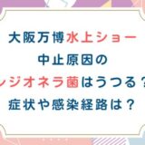 大阪万博水上ショー中止原因のレジオネラ菌はうつる？症状や感染経路は？