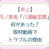 [炎上なぜ？]月ノ美兎「八潮秘宝館」何があった？取材動画でトラブルの理由