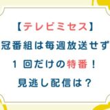 [テレビミセス]冠番組は毎週放送せず1 回だけの特番！見逃し配信は？