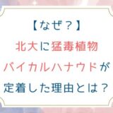 [なぜ？]北大に猛毒植物バイカルハナウドが定着した理由とは？