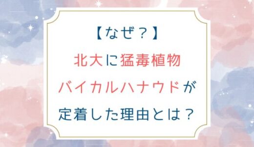 [なぜ？]北大に猛毒植物バイカルハナウドが定着した理由とは？