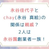永谷佳代子とchay(永谷 真絵)の関係は親戚？2人は永谷園創業者一族！