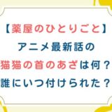 [薬屋のひとりごと]アニメ最新47話の猫猫の首のあざは何？誰にいつ付けられた？