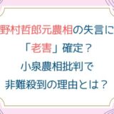 野村哲郎元農相の失言に「老害」確定？小泉農相批判で非難殺到の理由とは？
