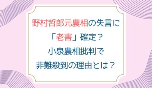 野村哲郎元農相の失言に「老害」確定？小泉農相批判で非難殺到の理由とは？