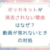 ポッカキットが消去されない理由はなぜ？動画が見れないときの対処