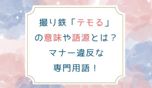 撮り鉄「テモる」の意味や語源とは？マナー違反な専門用語！