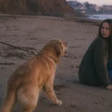 愛犬が浜辺で見知らぬ女性に吠え続けた――飼い主が後に知った、10万分の1の衝撃の真実